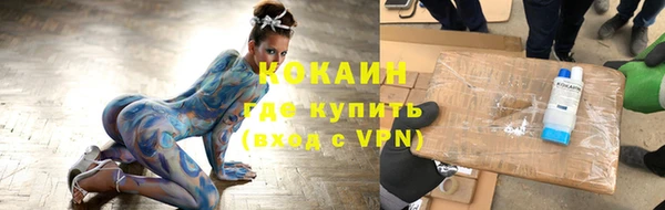 тгк Касимов
