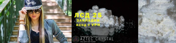 ПСИЛОЦИБИНОВЫЕ ГРИБЫ Карпинск