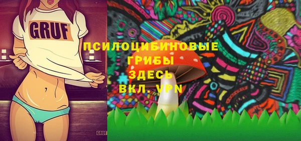 тгк Касимов
