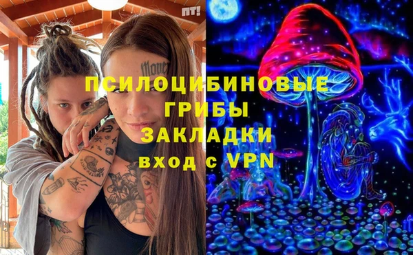 apvp Карталы