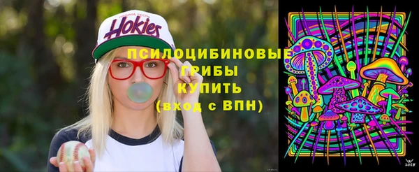 тгк Касимов