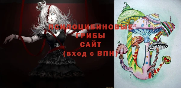 тгк Касимов