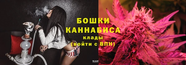 ПСИЛОЦИБИНОВЫЕ ГРИБЫ Карпинск