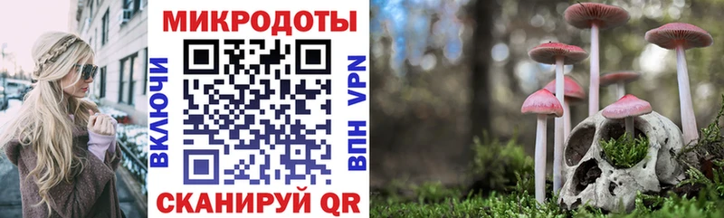 Псилоцибиновые грибы Magic Shrooms  Купить закладки  Южа 